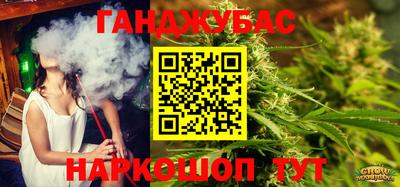 тгк Камышлов