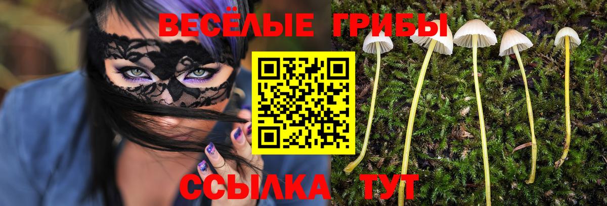 Галлюциногенные грибы MAGIC MUSHROOMS  Псилоцибиновые грибы Magic Shrooms  Вход с VPN  Ливны 